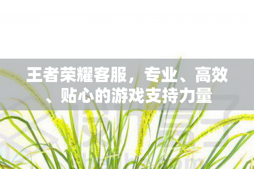 贴心的游戏支持力量图片
