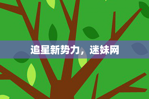 追星新势力图片
