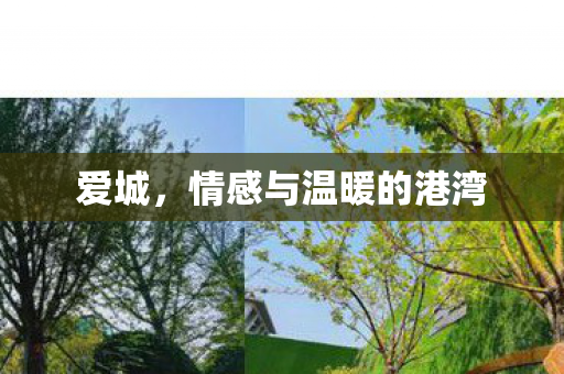 情感与温暖的港湾图片