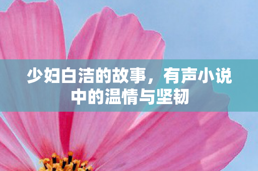 有声小说中的温情与坚韧图片