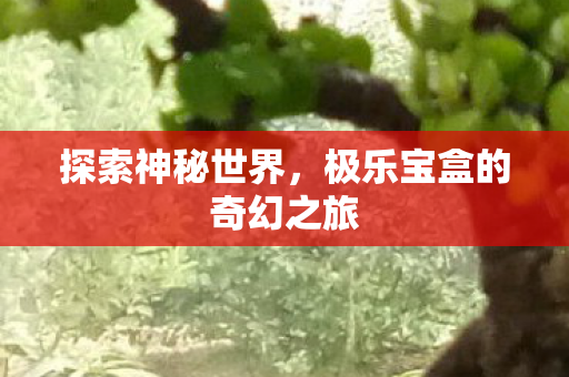 极乐宝盒的奇幻之旅图片