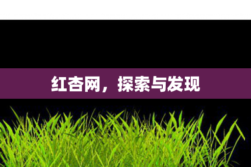 探索与发现图片