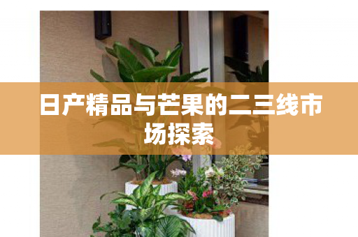 日产精品与芒果的二三线市场探索图片
