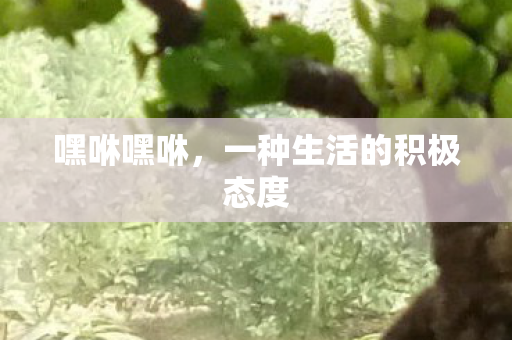 一种生活的积极态度图片