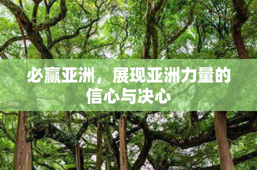 展现亚洲力量的信心与决心图片