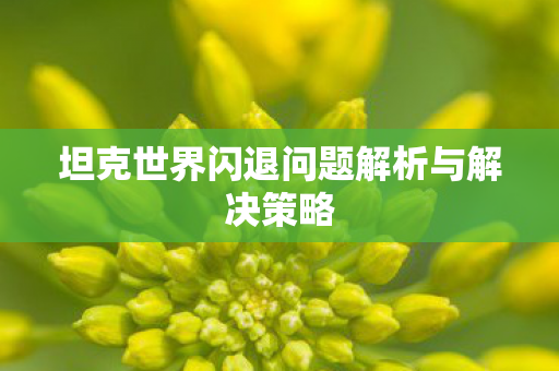 坦克世界闪退问题解析与解决策略图片