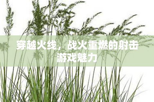 战火重燃的射击游戏魅力图片