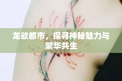 探寻神秘魅力与繁华共生图片