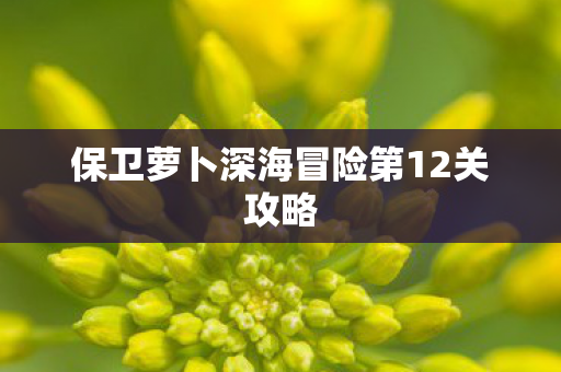 保卫萝卜深海冒险第12关攻略图片