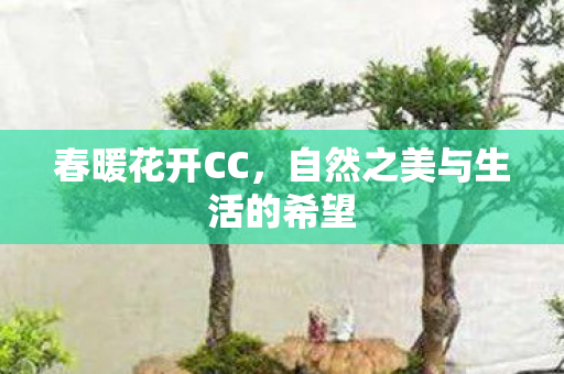 自然之美与生活的希望图片