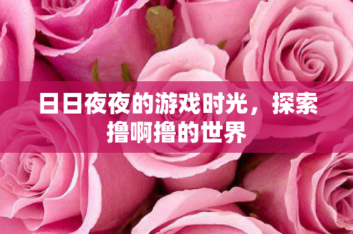 日日夜夜的游戏时光图片