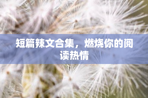 燃烧你的阅读热情图片