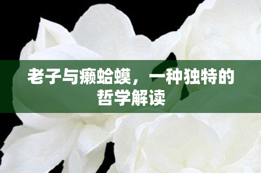 一种独特的哲学解读图片