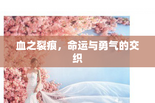 命运与勇气的交织图片