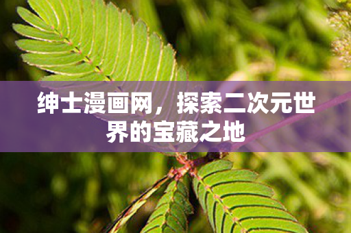 探索二次元世界的宝藏之地图片