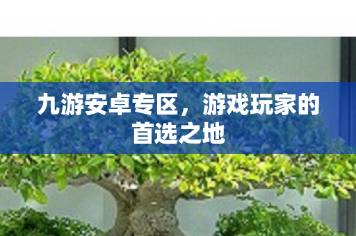 游戏玩家的首选之地图片