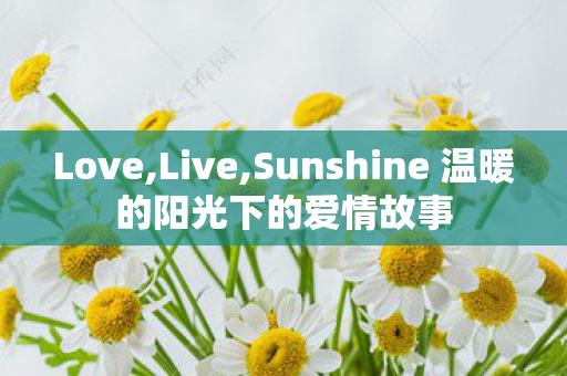 Sunshine 温暖的阳光下的爱情故事图片