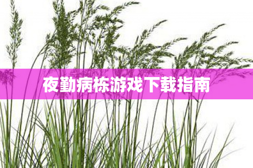 夜勤病栋游戏下载指南图片