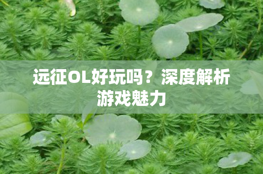 深度解析游戏魅力图片