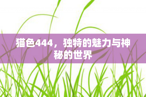 独特的魅力与神秘的世界图片