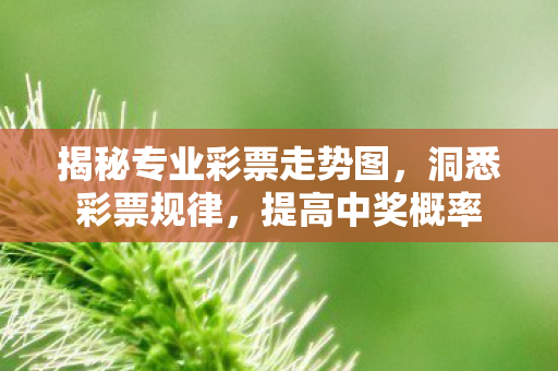 揭秘专业彩票走势图图片