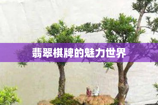 翡翠棋牌的魅力世界图片