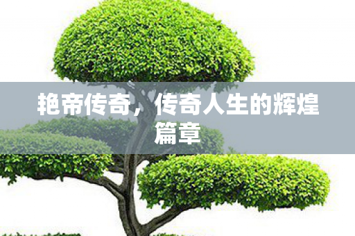 传奇人生的辉煌篇章图片
