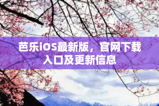 官网下载入口及更新信息图片