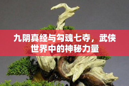 武侠世界中的神秘力量图片
