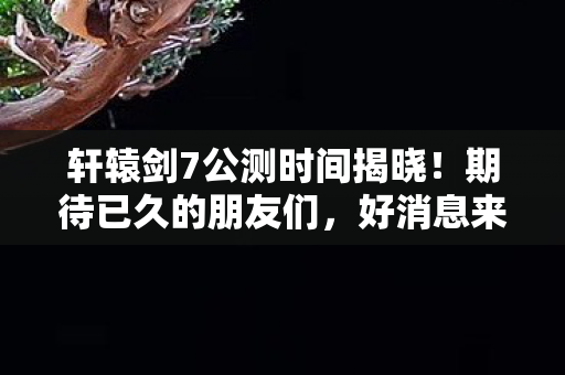 轩辕剑7公测时间揭晓图片