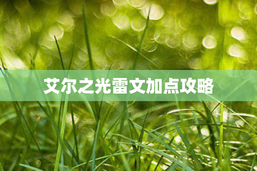 艾尔之光雷文加点攻略图片