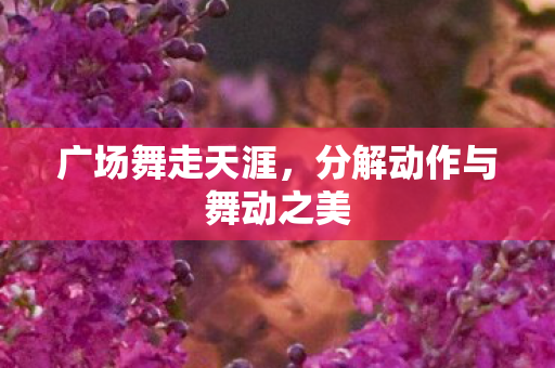 分解动作与舞动之美图片