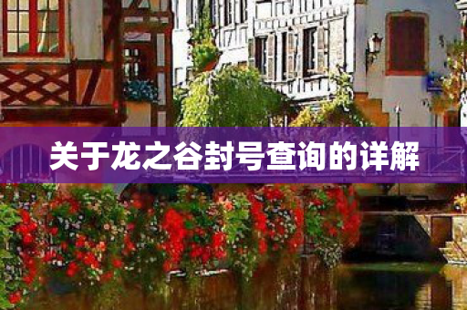 关于龙之谷封号查询的详解图片
