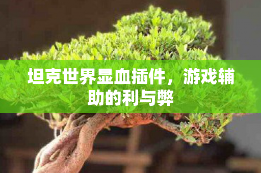 坦克世界显血插件图片