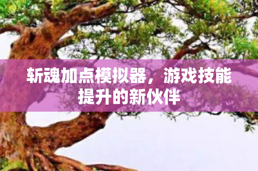 游戏技能提升的新伙伴图片