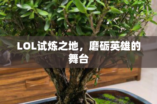 LOL试炼之地图片