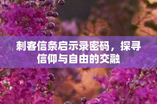 探寻信仰与自由的交融图片