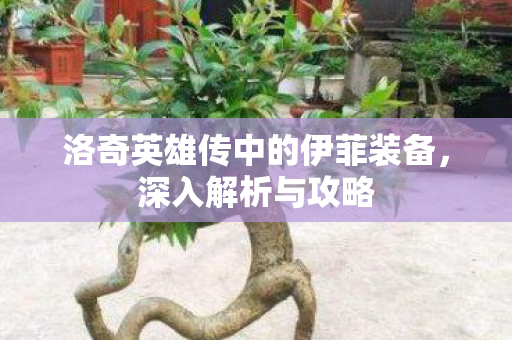 洛奇英雄传中的伊菲装备图片