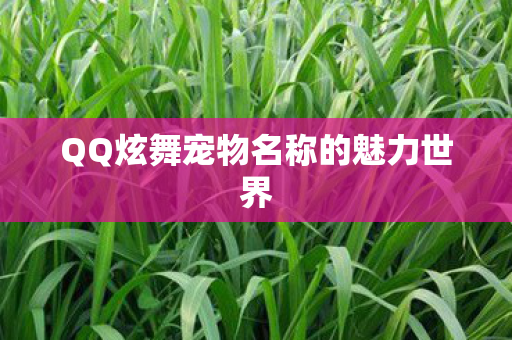 QQ炫舞宠物名称的魅力世界图片