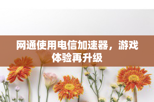 网通使用电信加速器图片