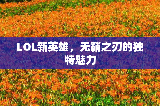 无鞘之刃的独特魅力图片