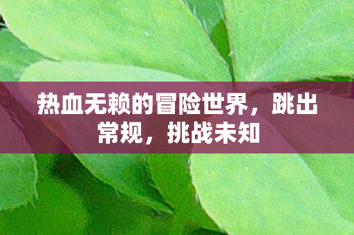 热血无赖的冒险世界图片