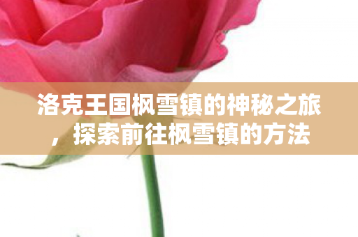 洛克王国枫雪镇的神秘之旅图片