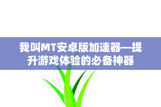提升游戏体验的必备神器图片