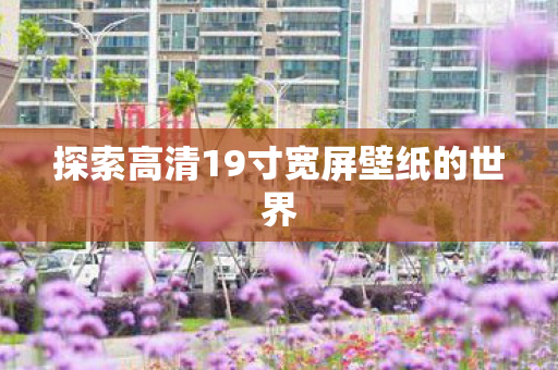 探索高清19寸宽屏壁纸的世界图片