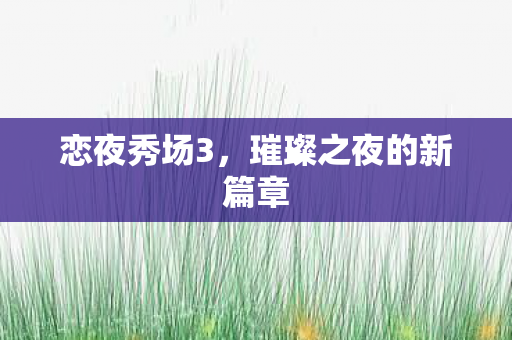 璀璨之夜的新篇章图片