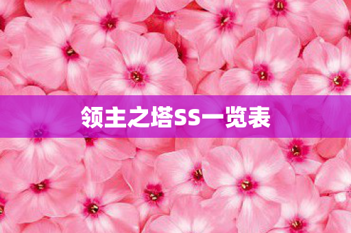领主之塔SS一览表图片