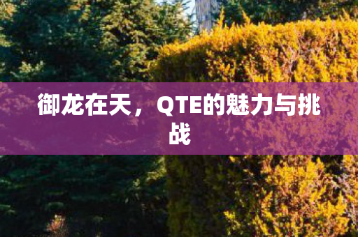 QTE的魅力与挑战图片
