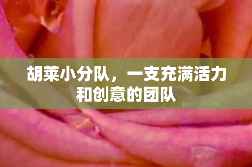 一支充满活力和创意的团队图片