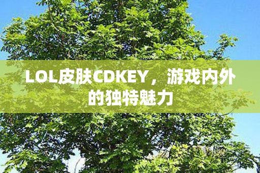 LOL皮肤CDKEY图片